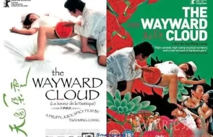 һThe Wayward Cloud 2005[̨ؿζ߶ɫ][AVI/430MB/BT]